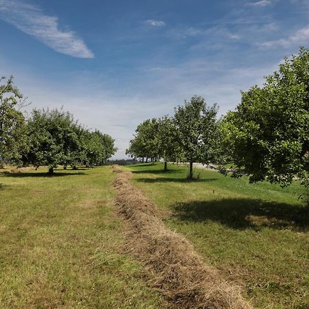 Отель Schaetzlhof Ohg Ruderting Экстерьер фото